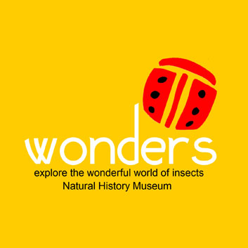Logo 18